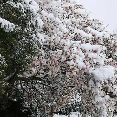 Holiday home Des Chevaliers Canlers