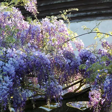 Vakantiehuis Des Chevaliers